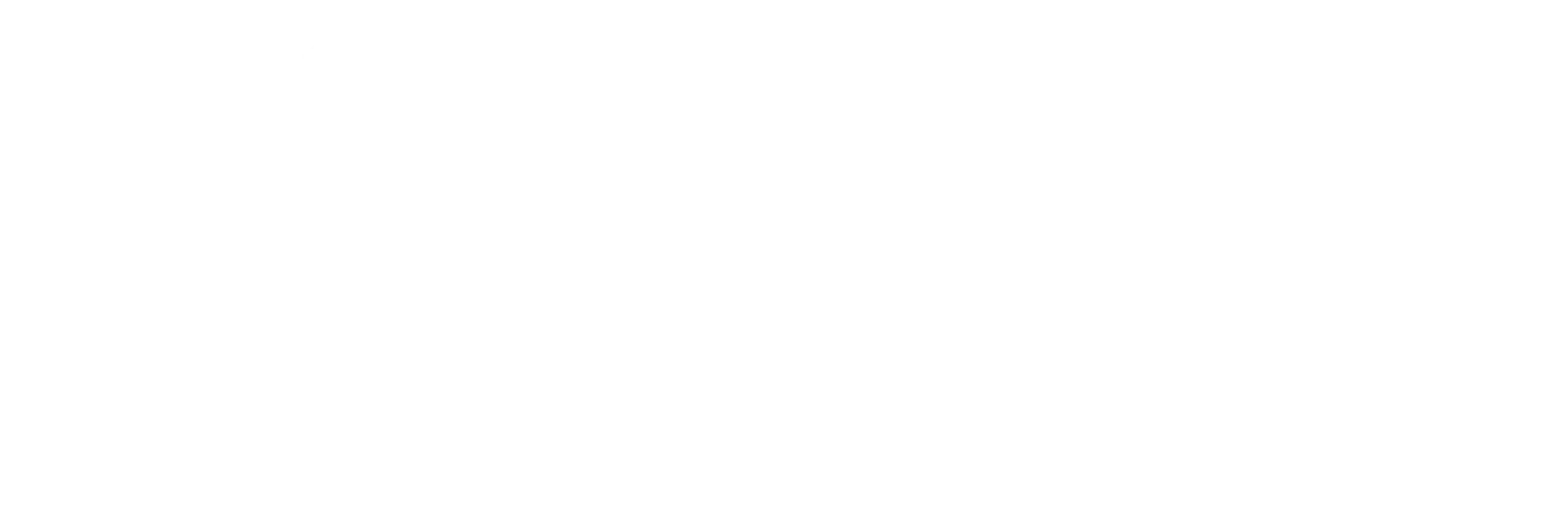 Mousa Consulting